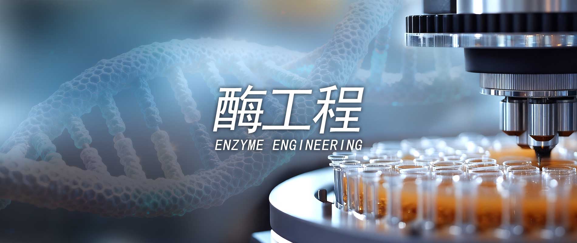 连云港巨佳化工科技有限公司