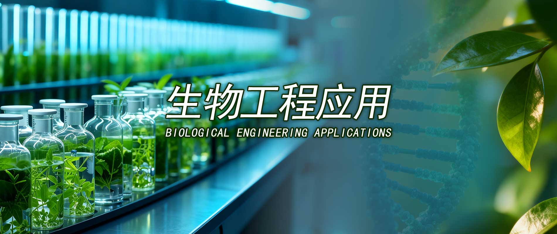 连云港巨佳化工科技有限公司